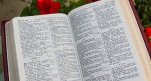 Lire la suite à propos de l’article Critères pour comprendre les versets bibliques